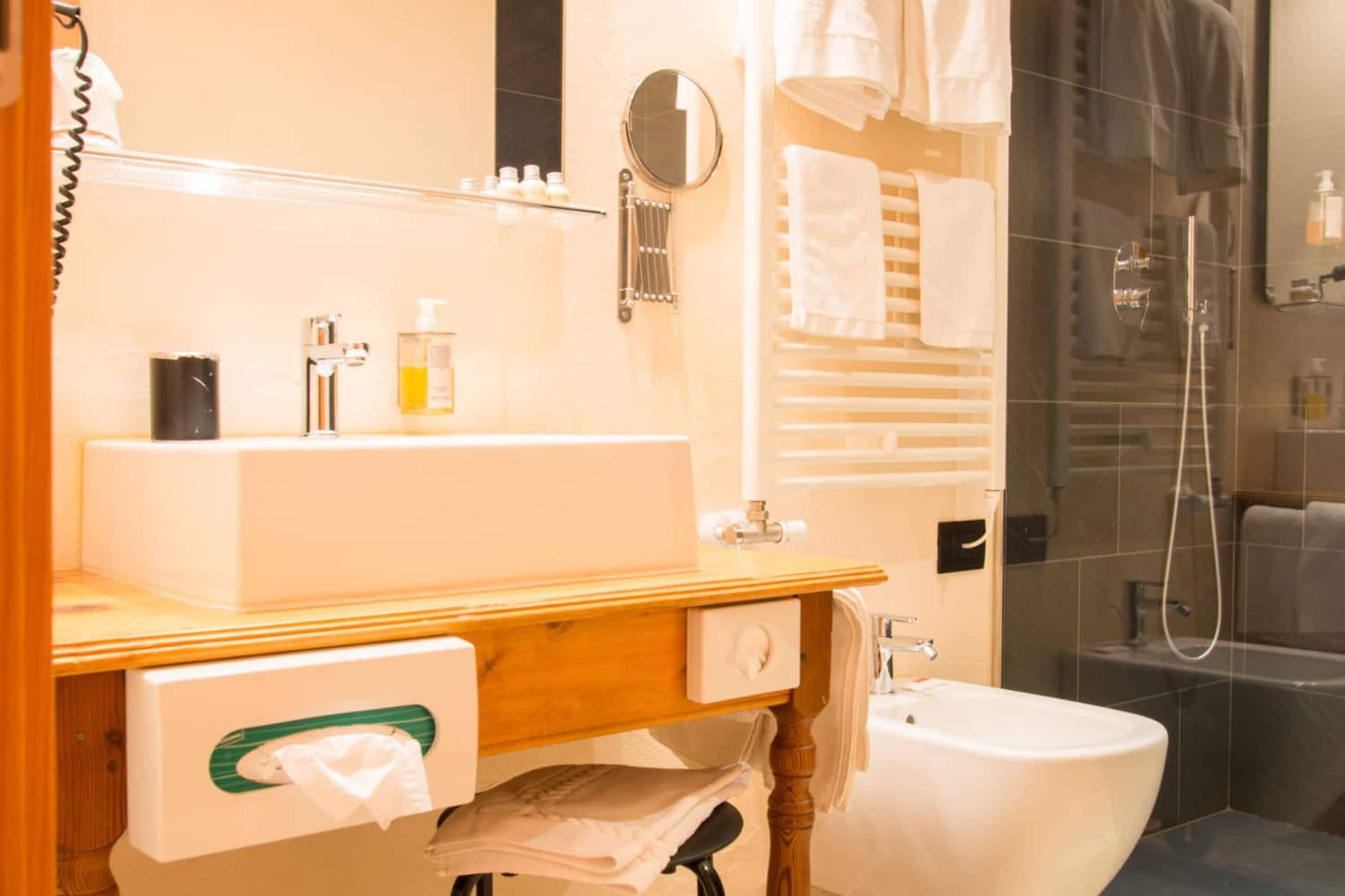 standard double room | bathroom | shower, free toiletries, hair dryer, bidet