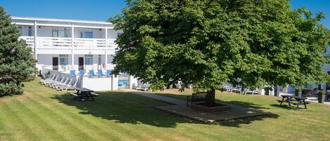 A building with multiple floors, outdoor seating, and a large tree in the foreground.