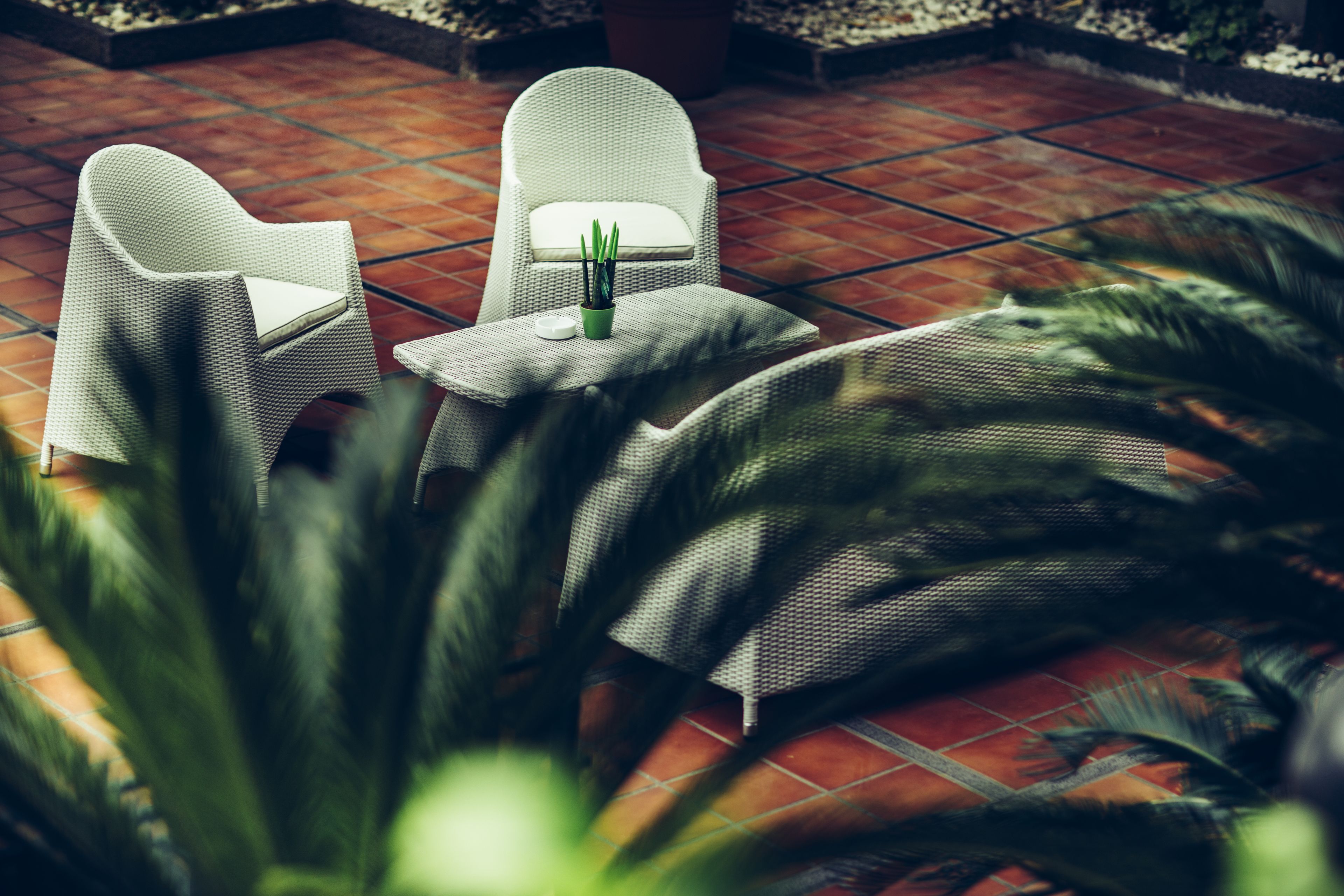 Uma área de pátio com duas cadeiras de vime e uma pequena mesa, cercada por plantas em vasos.