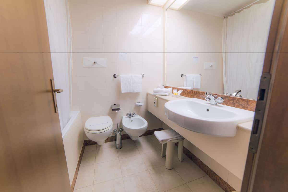 hair dryer, bidet, towels, soap