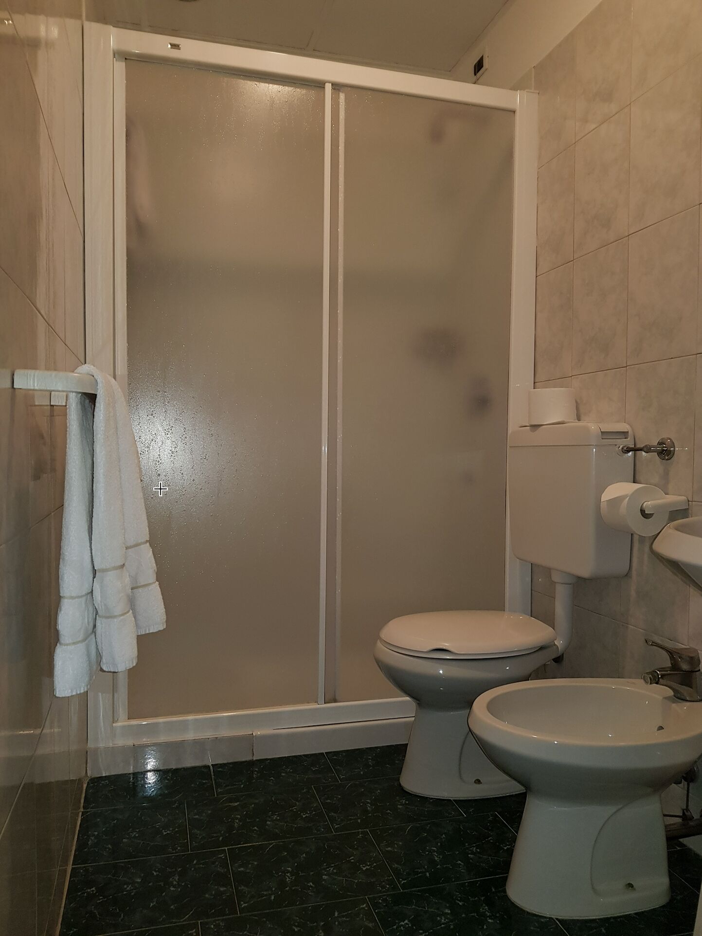 standard double room | bathroom | shower, hair dryer, bidet, towels