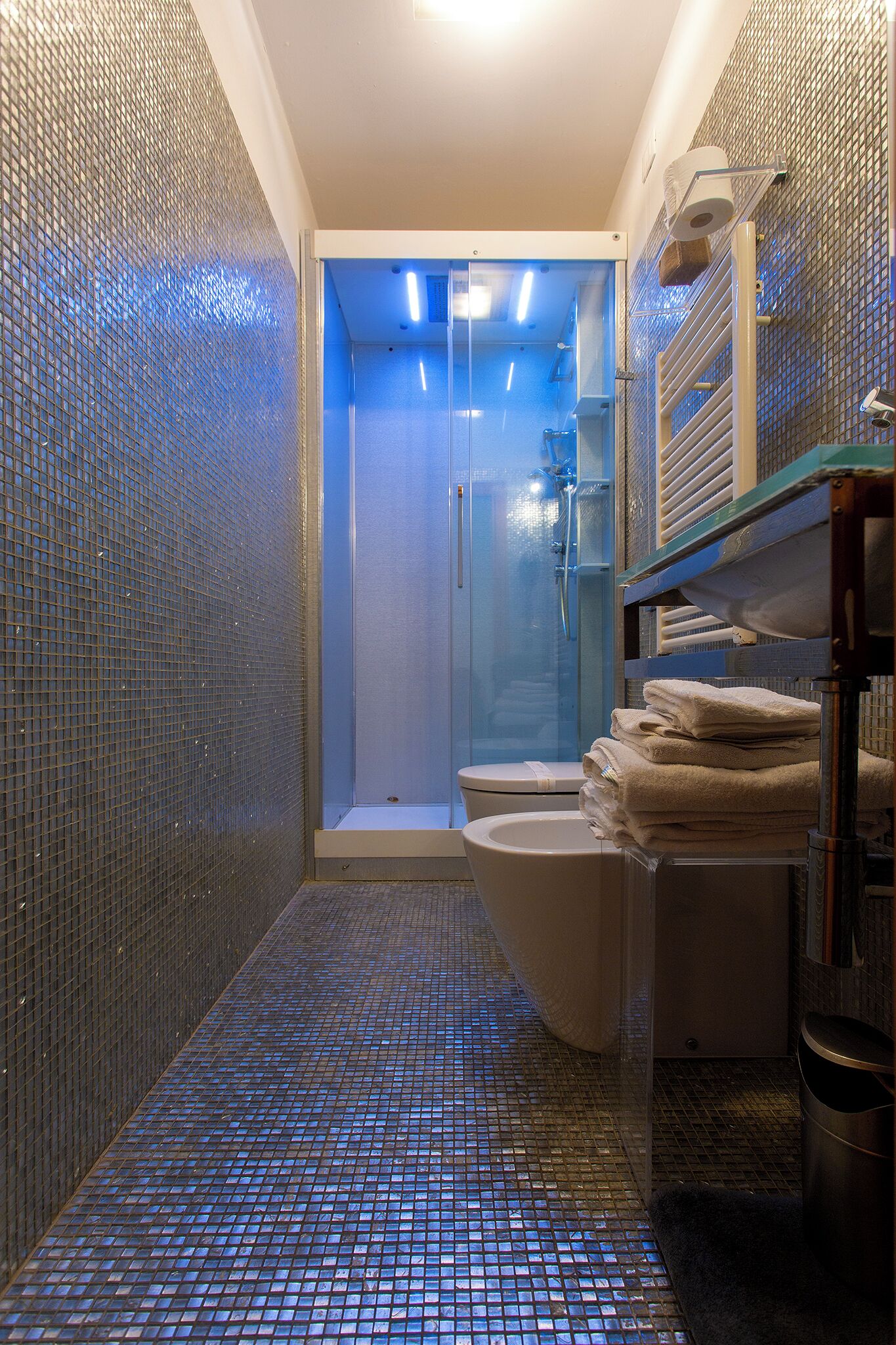 double or twin room | bathroom | shower, free toiletries, hair dryer, towels