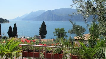 Lake view
