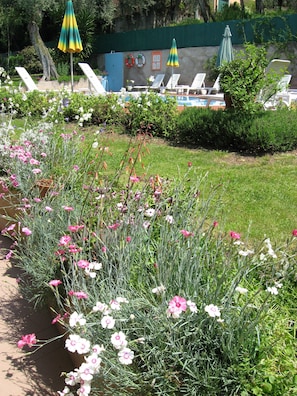A poolside area with lounge chairs, a small pool, and flowering plants. - Casa Popi (Malcesine)