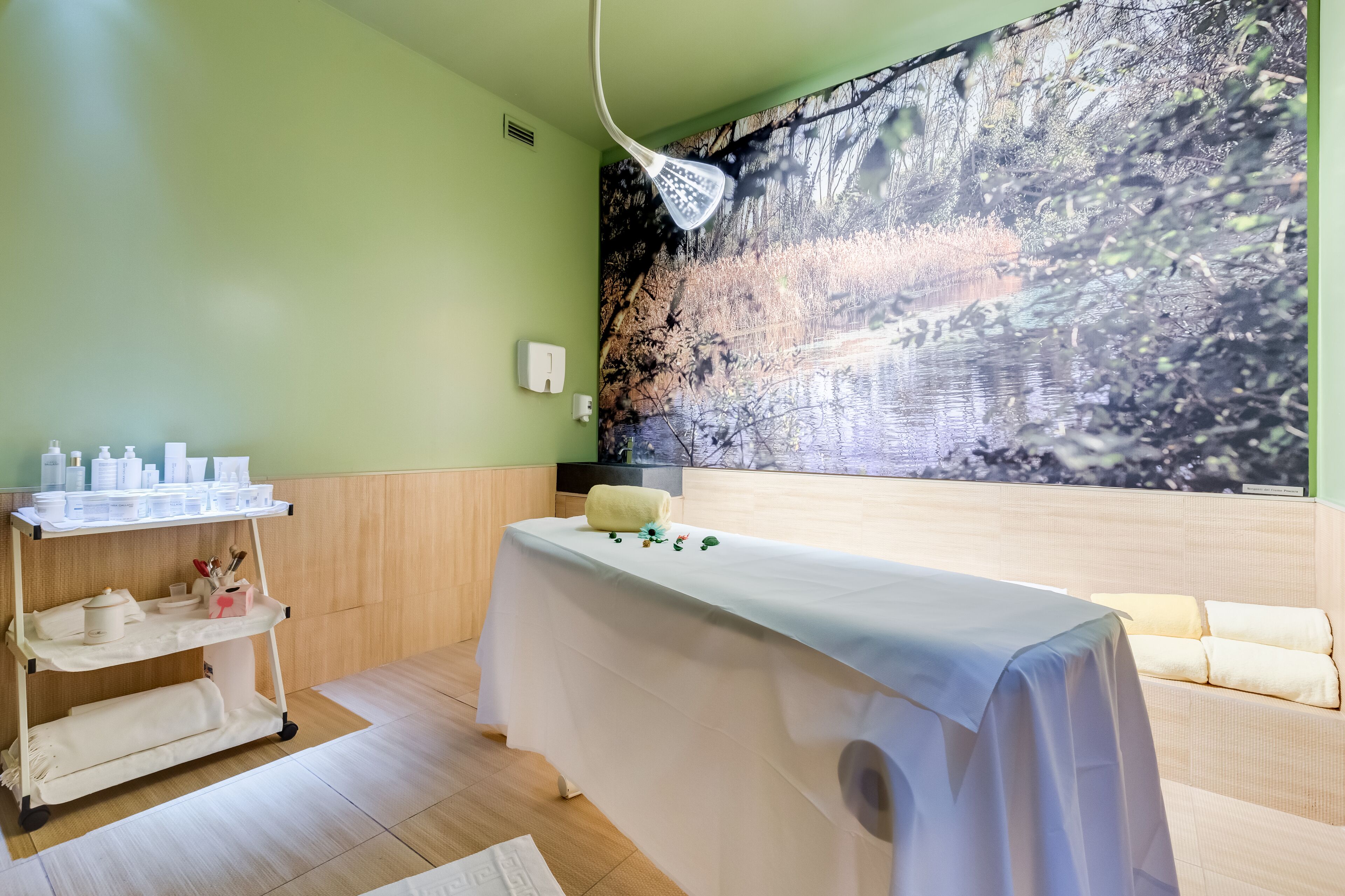 A spa room with a massage table, a shelf with toiletries, and a large nature-themed mural on the wall.