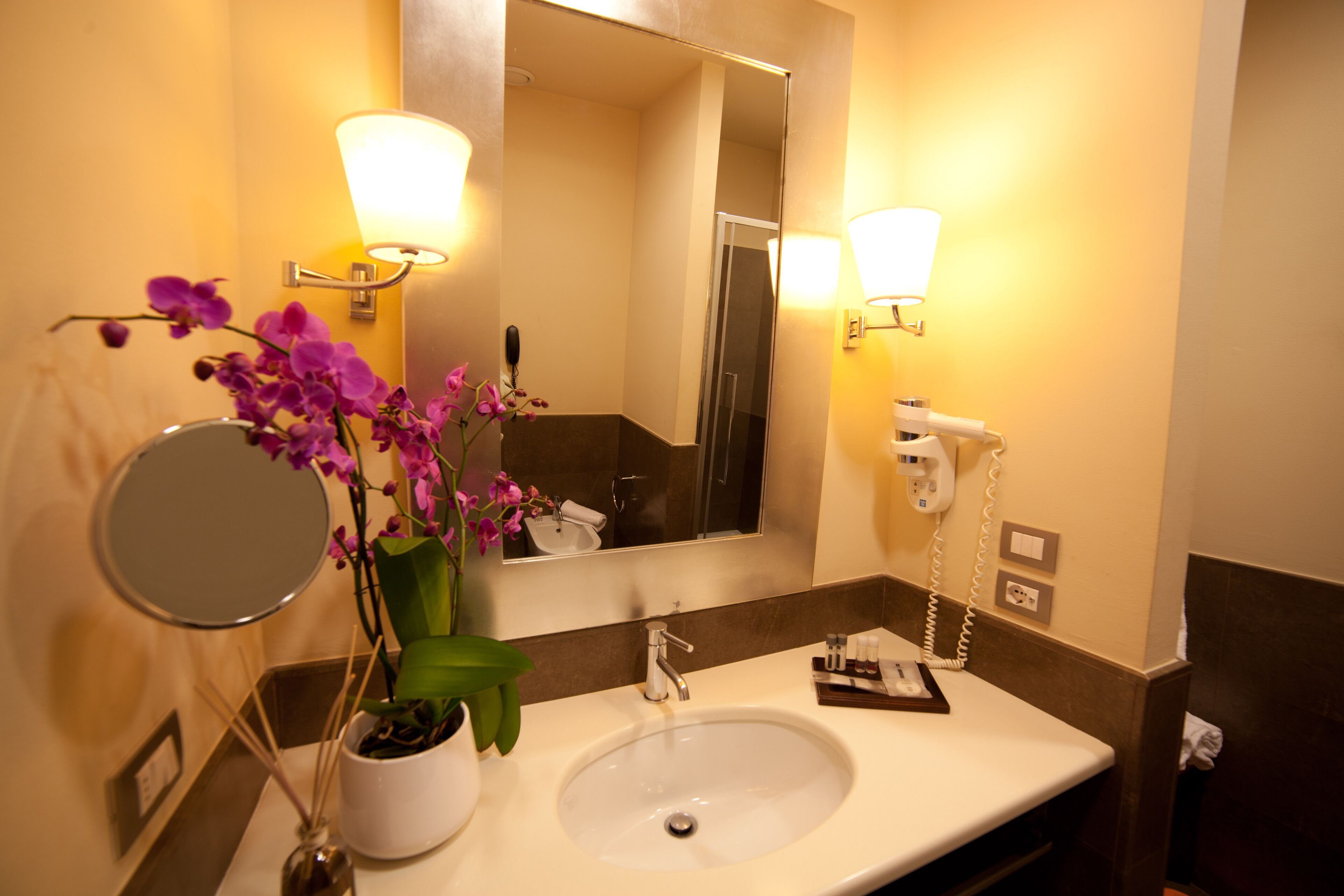 A bathroom with a sink, mirror, potted orchid, and a hairdryer.