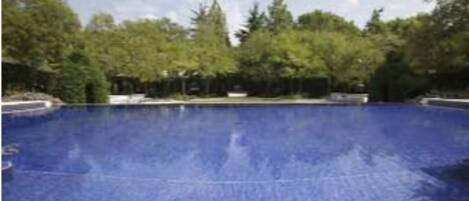Una piscina rodeada de árboles.