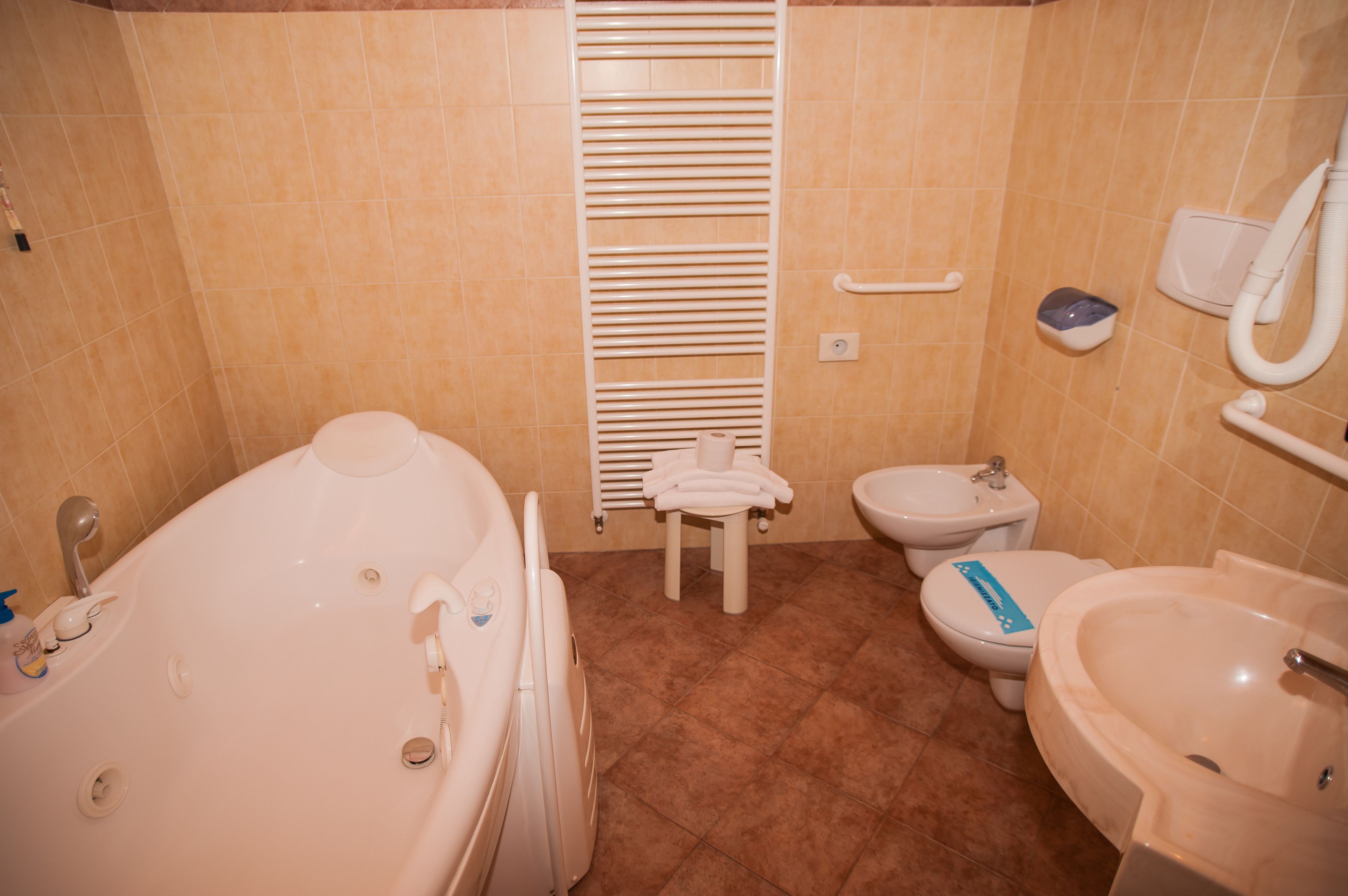 suite | bathroom | shower, free toiletries, hair dryer, bidet