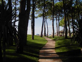 Vista desde la propiedad