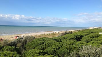 Vista aerea