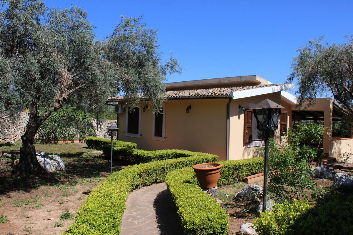 A house with a paved pathway, neatly trimmed hedges, and a large tree.