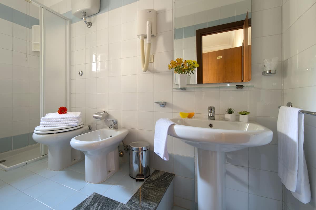 Shower, free toiletries, hair dryer, bidet