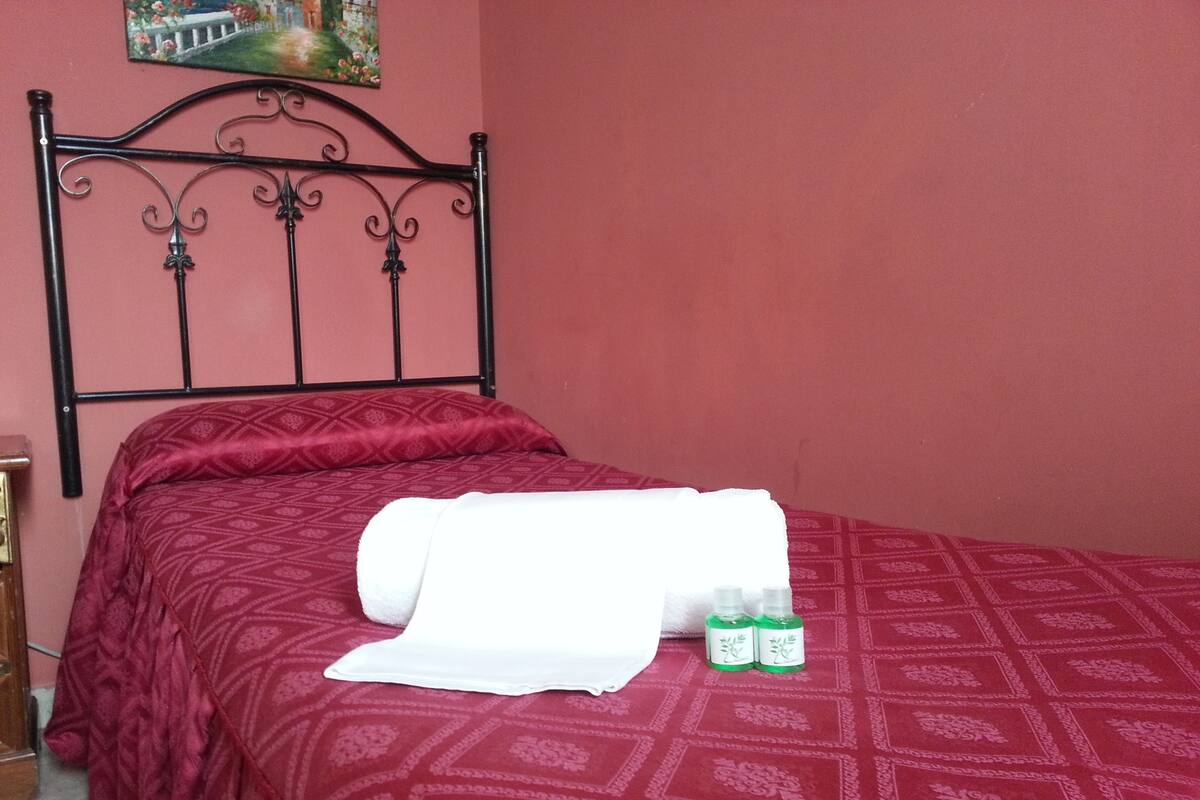 Premium bedding, down comforters, in-room safe, desk