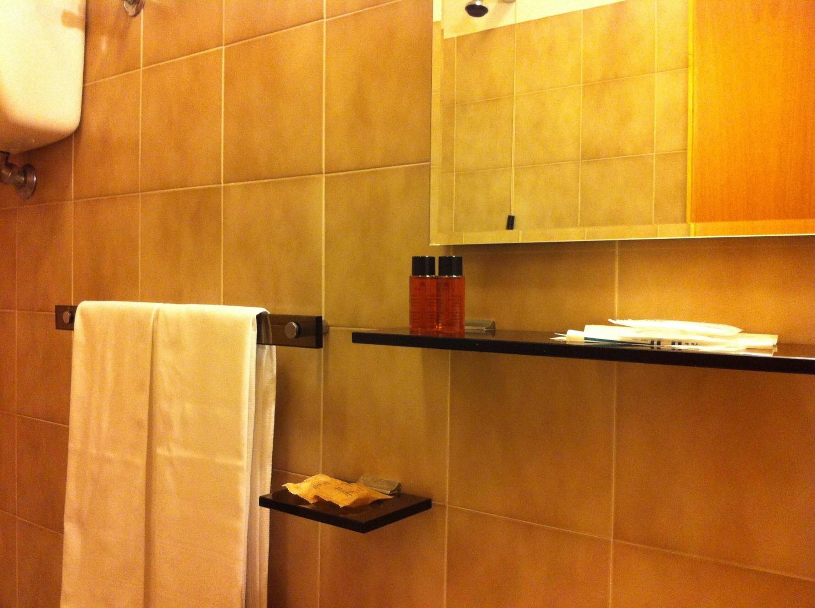 shower, free toiletries, hair dryer, bidet