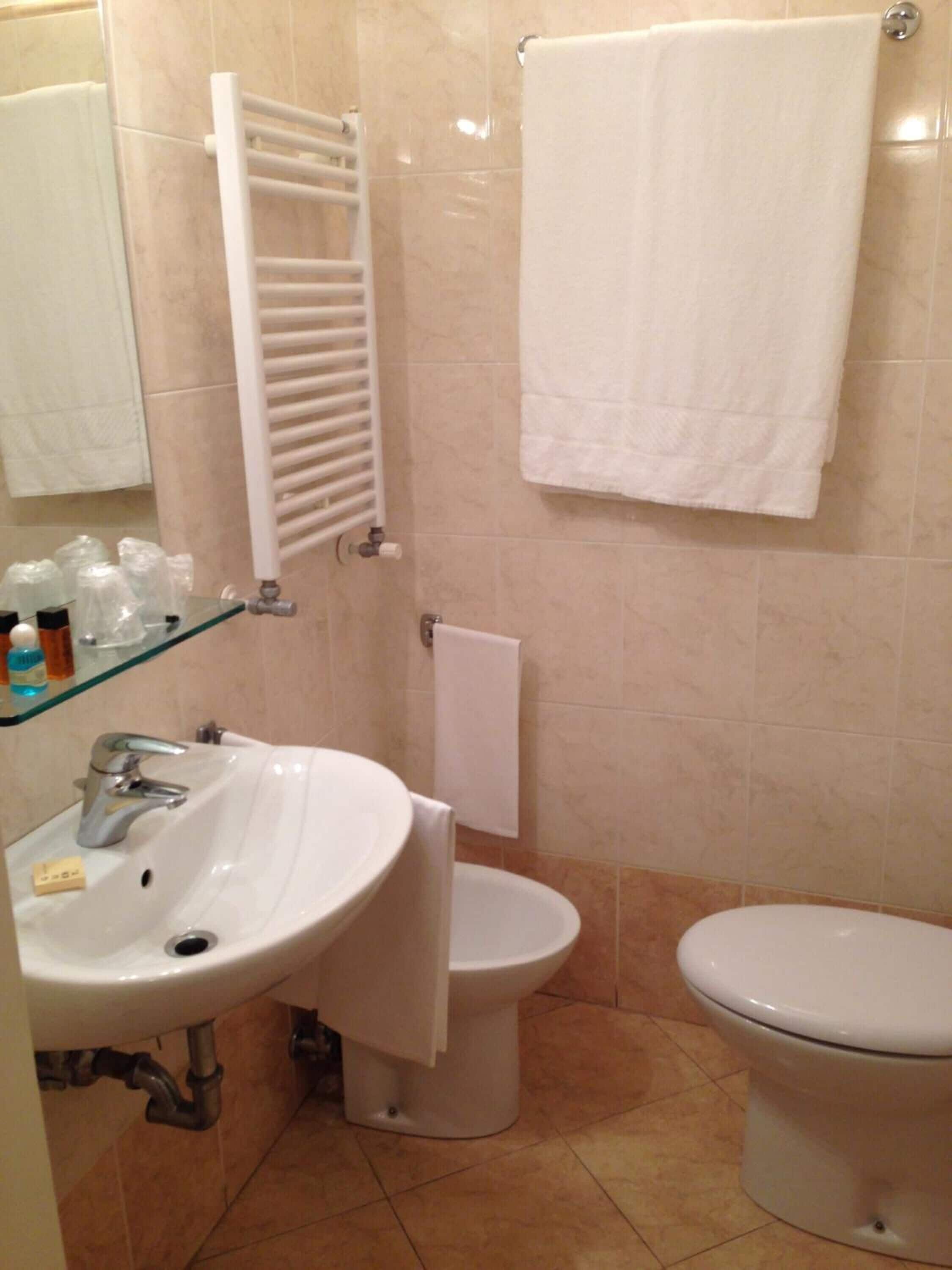 shower, free toiletries, hair dryer, bidet