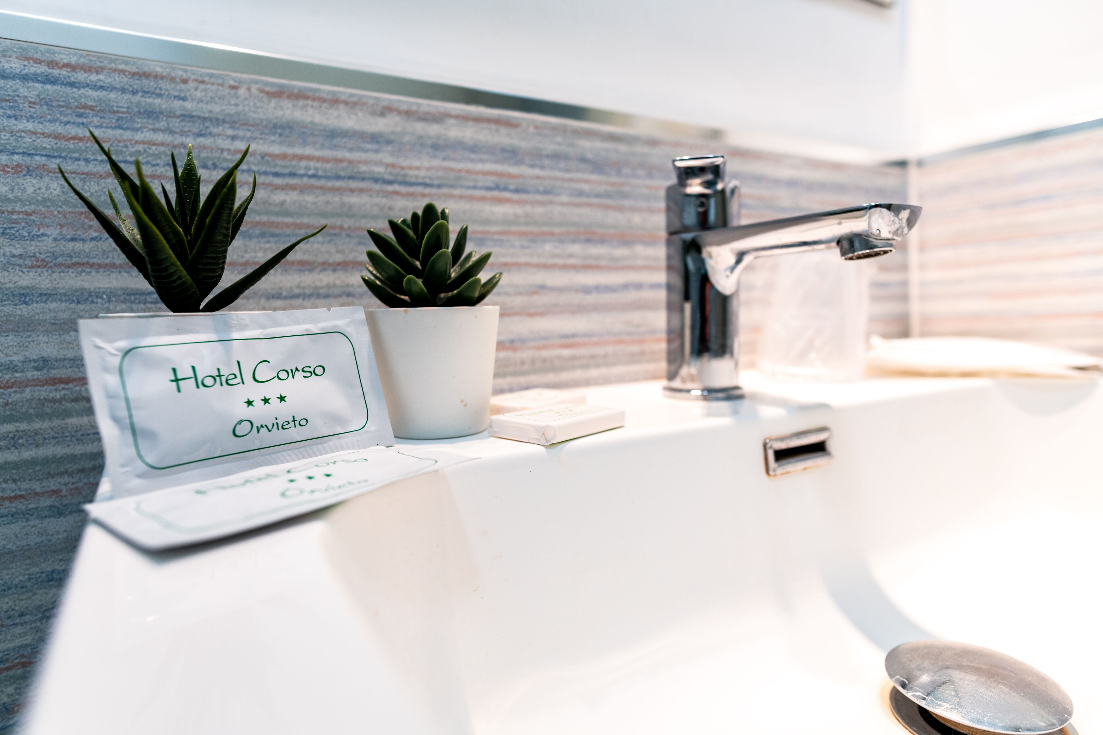 free toiletries, hair dryer, slippers, bidet