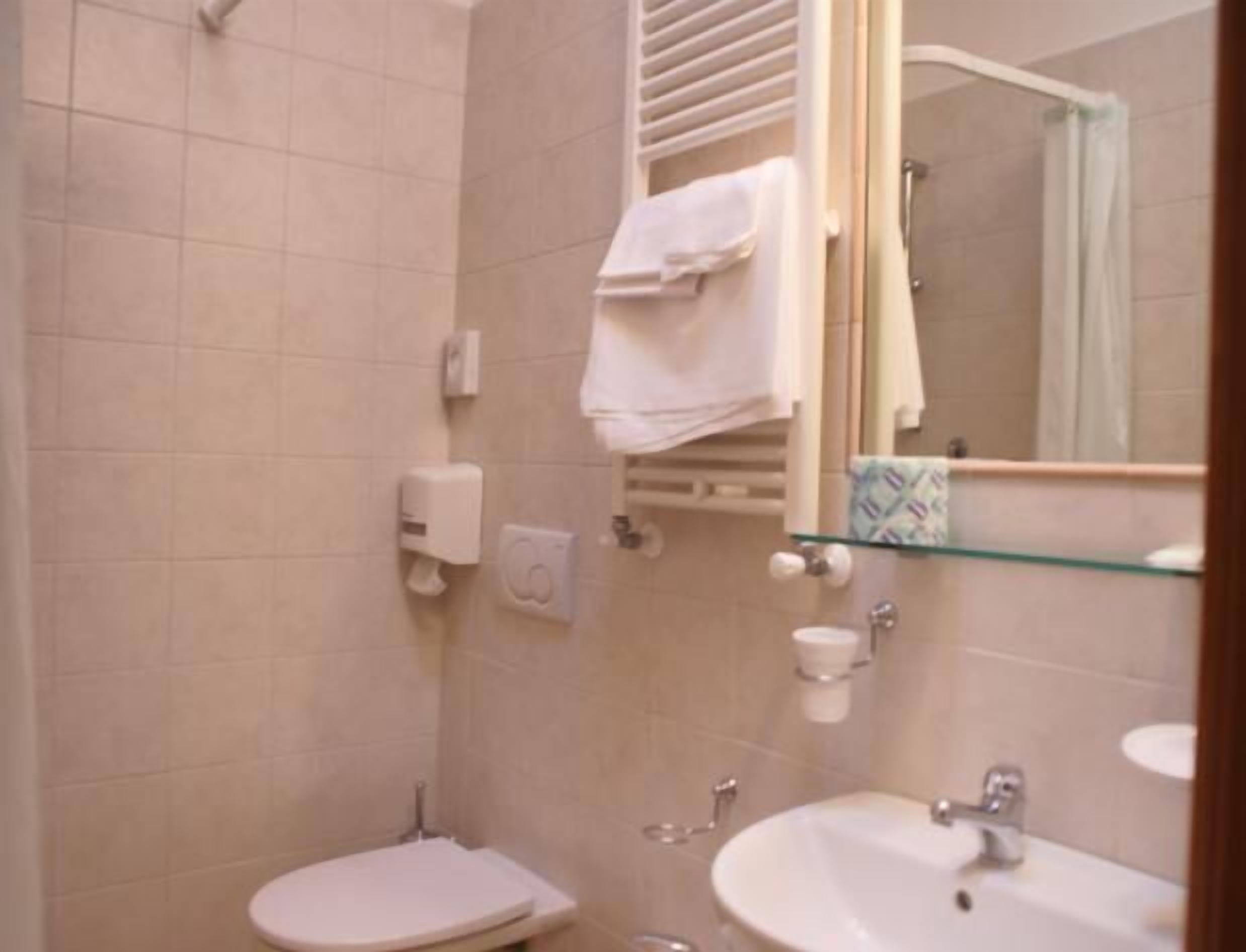 combined shower/bathtub, free toiletries, hair dryer, towels