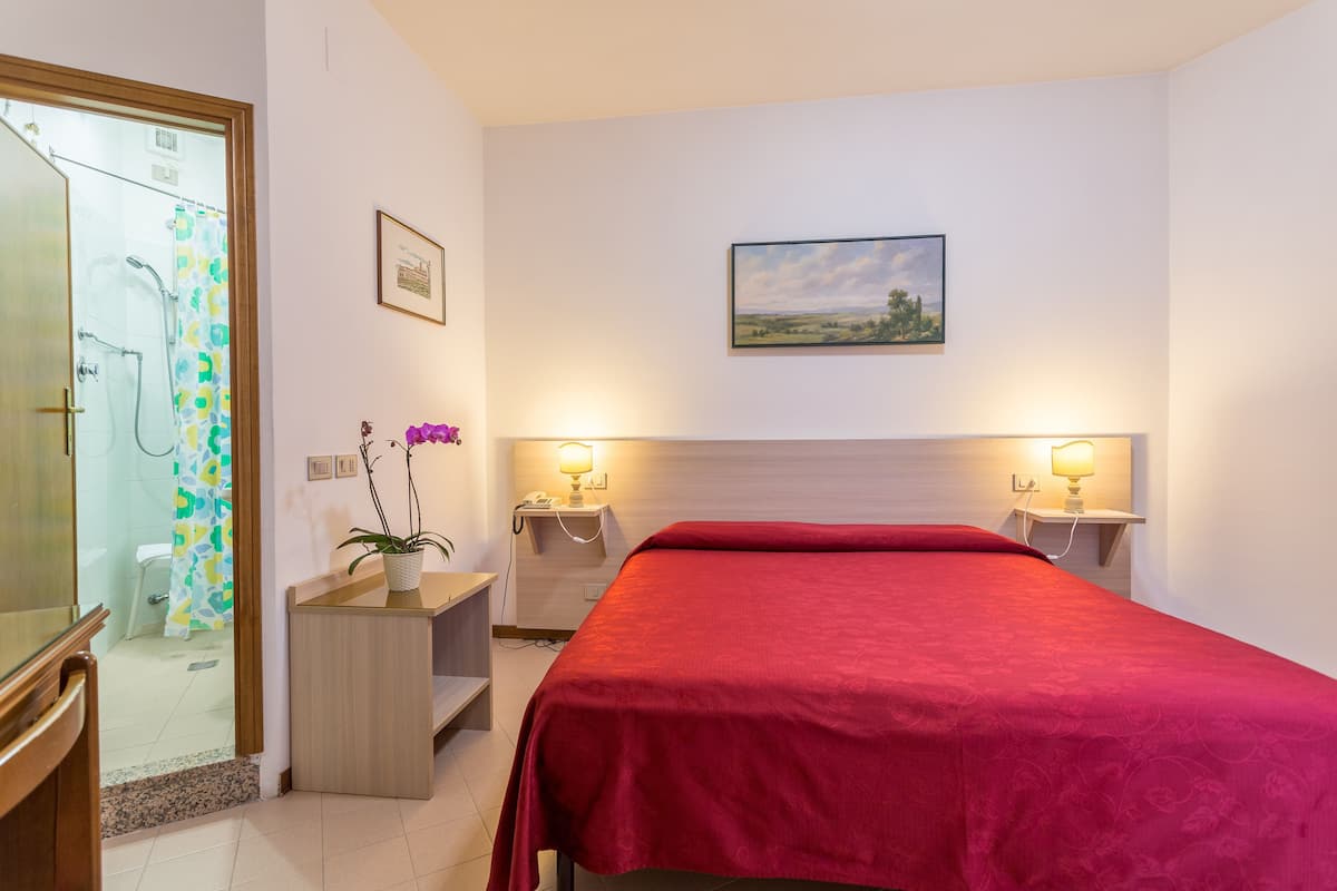 A hotel room with a bed, two bedside tables with lamps, a small desk with a plant, a shower area, and a framed picture on the wall.