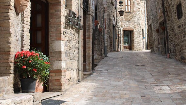 A narrow cobblestone street flanked by historic stone buildings with arched doorways and a potted plant with red flowers. - Hotel San Rufino (Assisi)