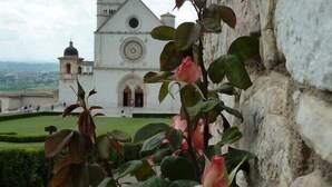 A rose bush in front of a building with a bell tower and circular window. - Hotel San Giacomo (Assisi)
