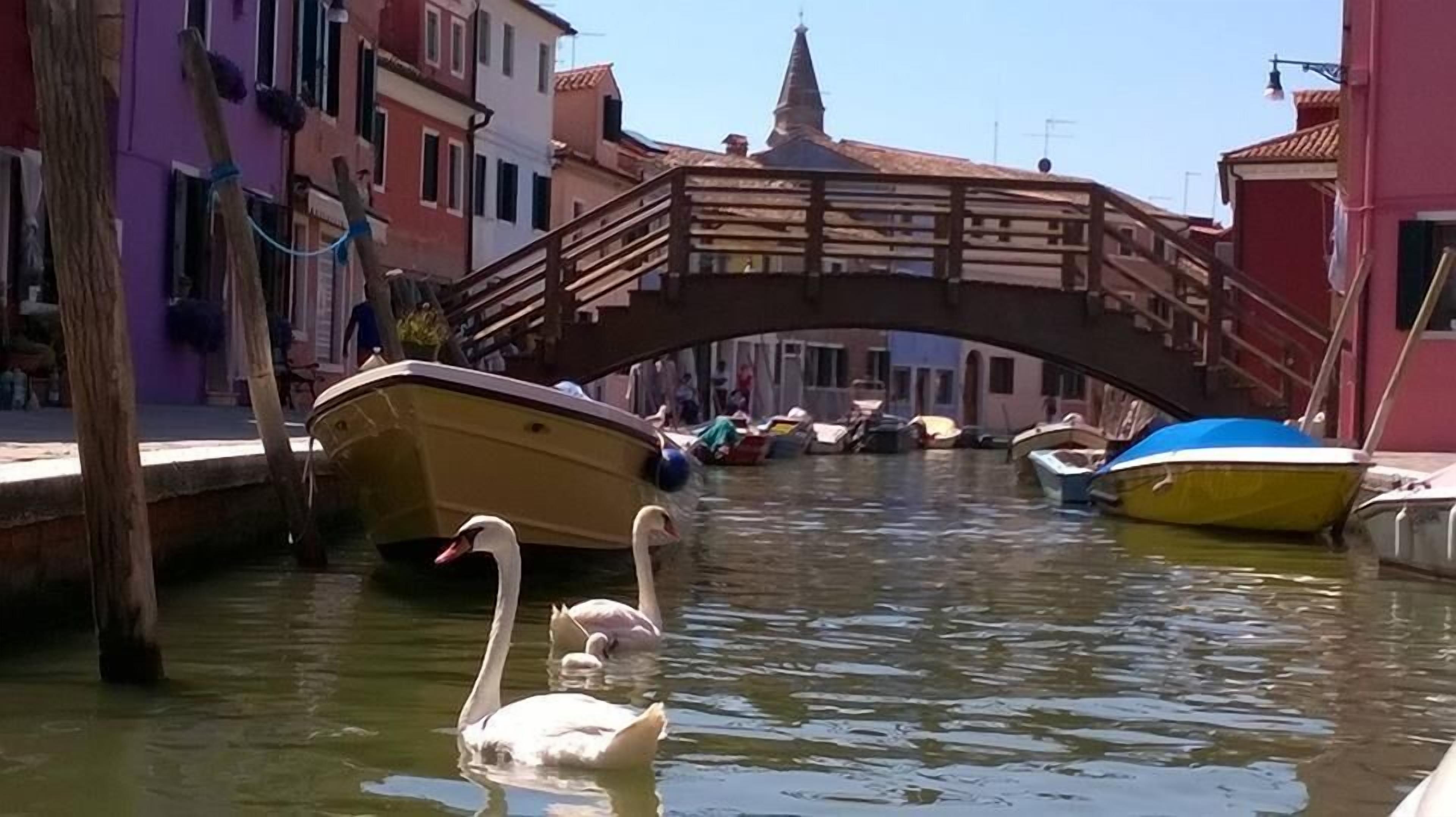 Photo - Hotel Bernardi Semenzato