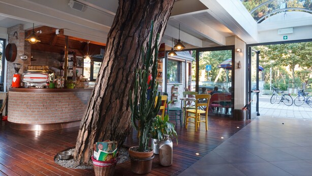 A spacious indoor area with a large tree trunk centerpiece, wooden flooring, and a view of the outdoors through glass doors. - Columbia (Ravenna)
