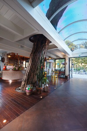 A spacious indoor area with a large tree trunk centerpiece, wooden flooring, and a view of the outdoors through glass doors. - Columbia (Ravenna)