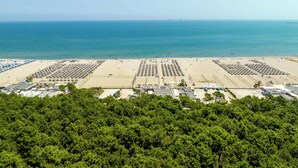 A beach with rows of umbrellas and sun loungers, a clear view of the ocean, and a forested area in the foreground. - Columbia (Ravenna)