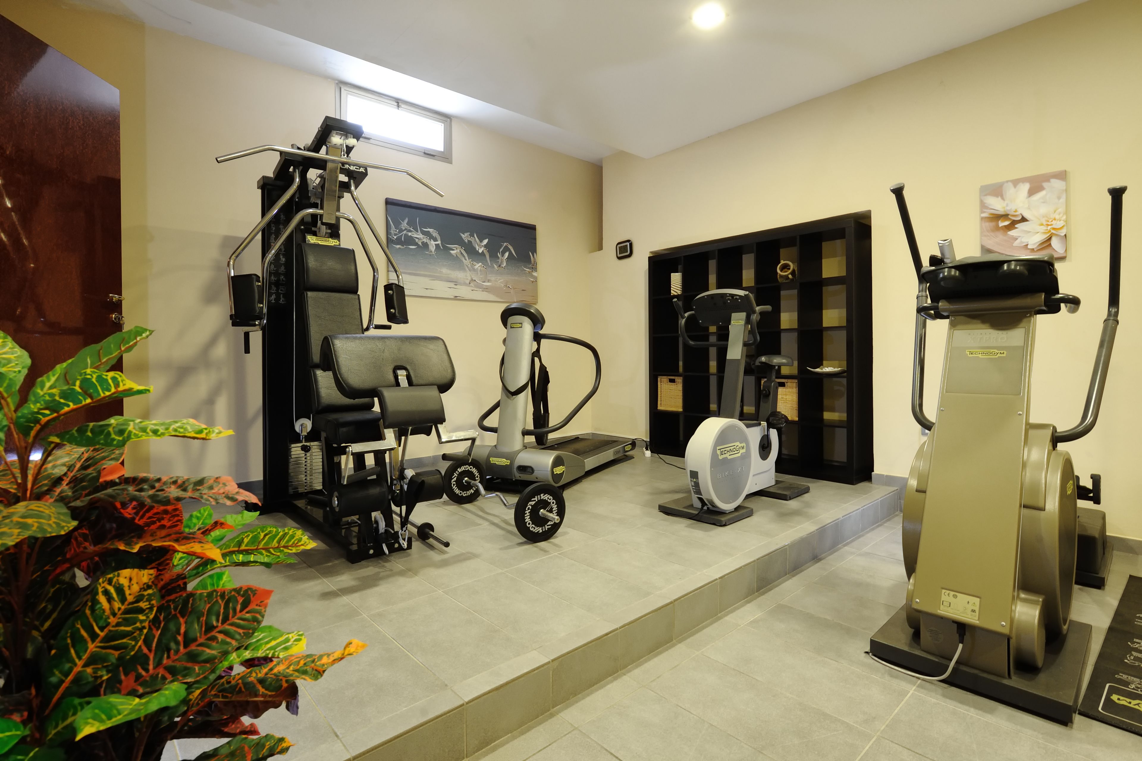 Un gimnasio con equipo de ejercicio, una cinta de correr y una bicicleta estática.