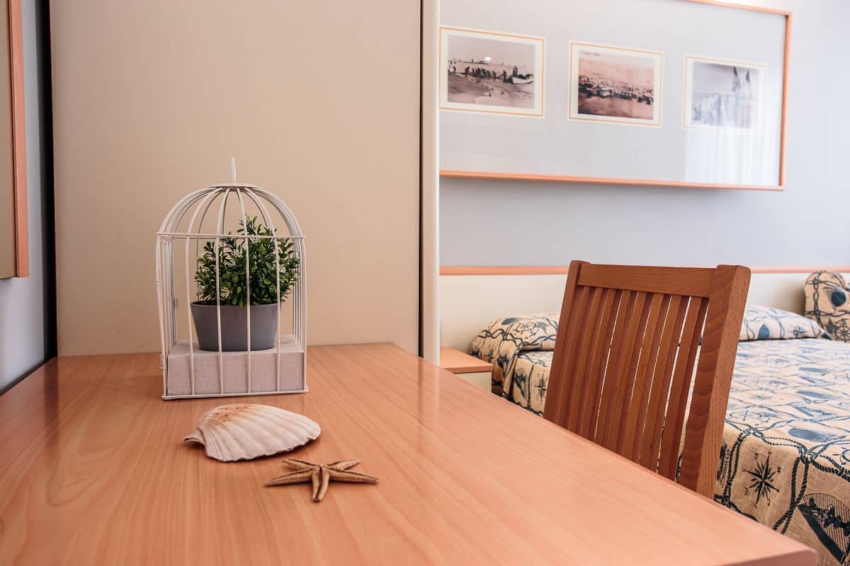 A wooden table with a potted plant in a wire cage, a seashell, and a starfish.