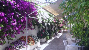 Uma área de estar coberta ao ar livre, com cadeiras e mesas brancas, rodeada por jardineiras com diversas flores e plantas.