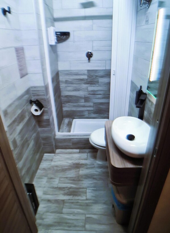 Une salle de bain avec douche, toilettes et lavabo.