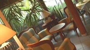 A cozy indoor seating area with cushioned chairs and a small round table, surrounded by potted plants. - LOGIS Chez Bach (Chaussin)