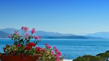 Private beach nearby, white sand, free beach shuttle, 2 beach bars