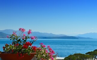 Un balcone con un vaso di fiori rosa e rossi, vista su un mare azzurro e montagne in lontananza.