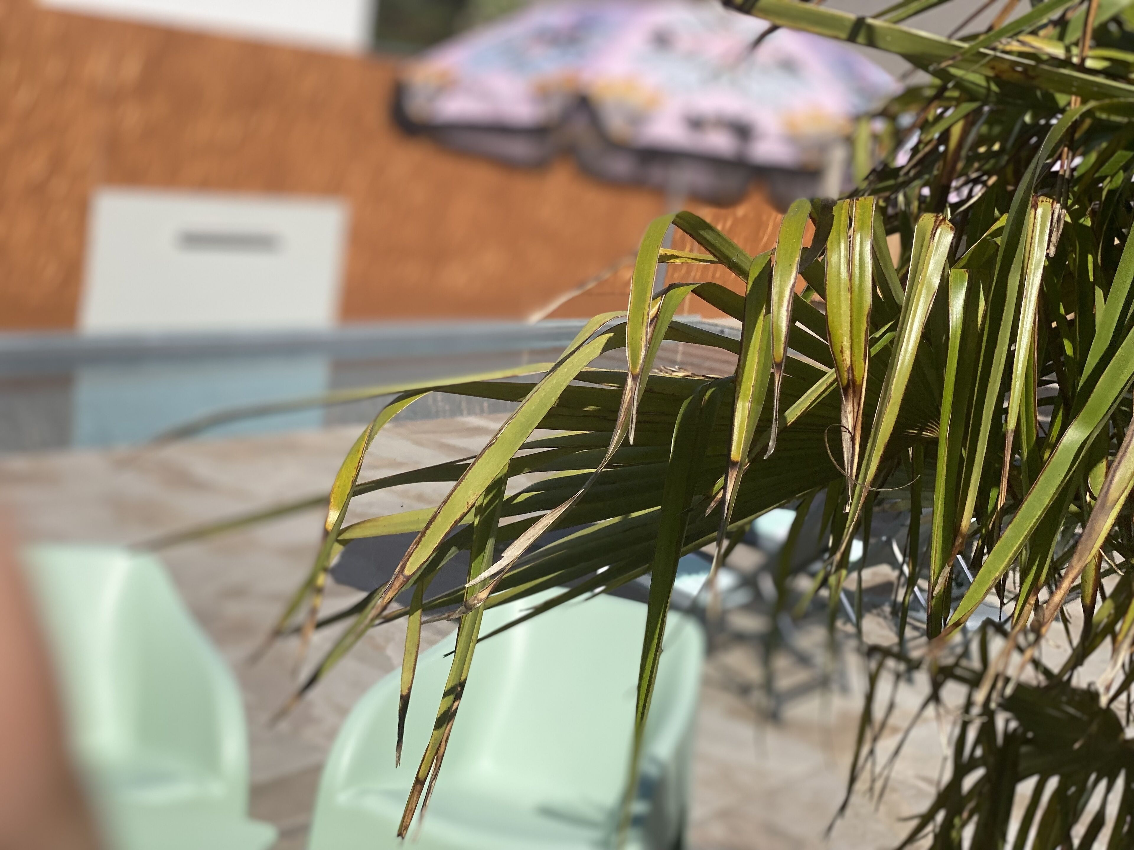 Piscina externa sazonal, funciona das 11h às 18h30, guarda-sóis