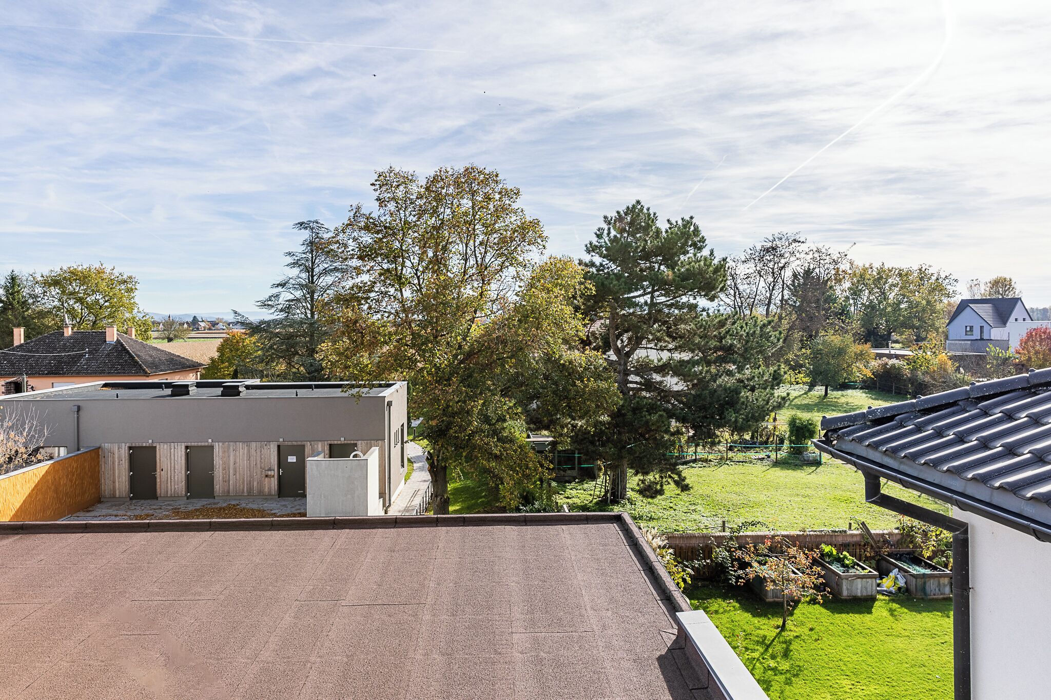 A residential area with a flat-roofed building, a grassy yard, and trees.