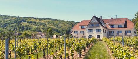 Cleanliness standards