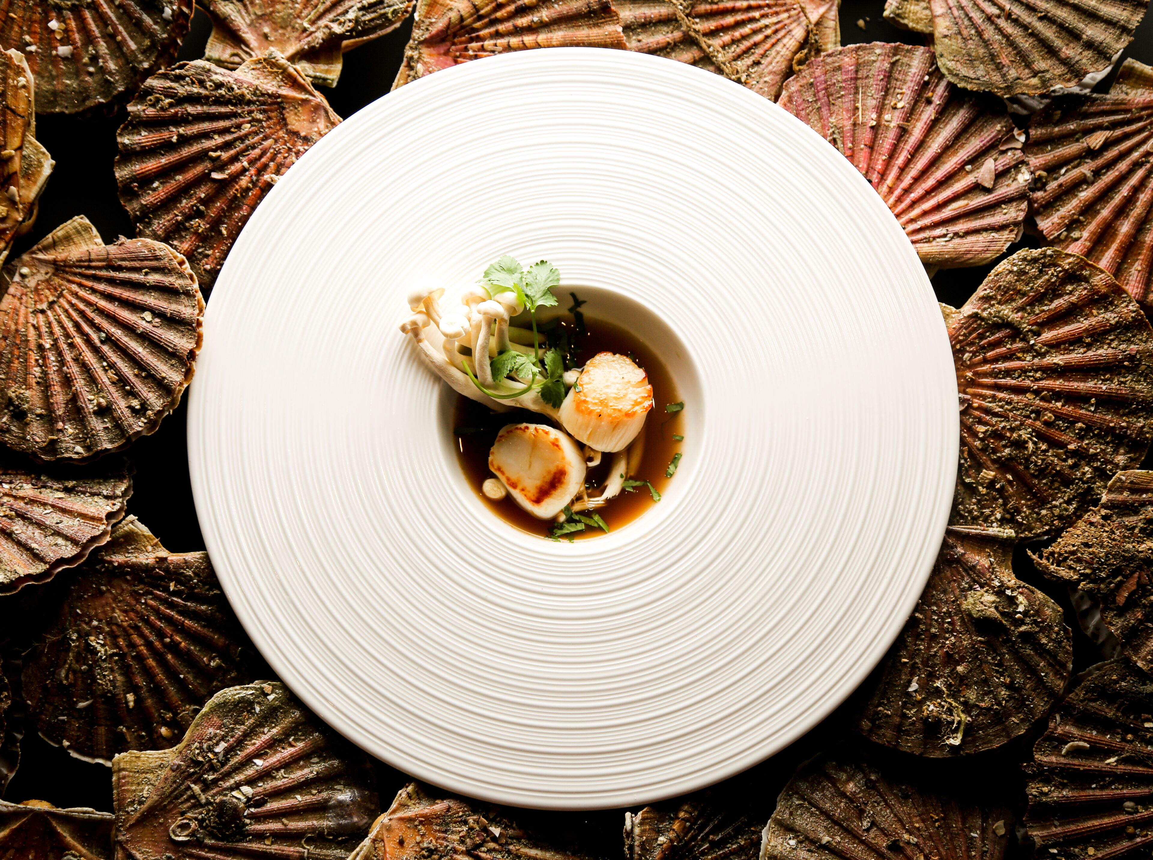 Een witte schaal met een coquille, omringd door coquilleschelpen.