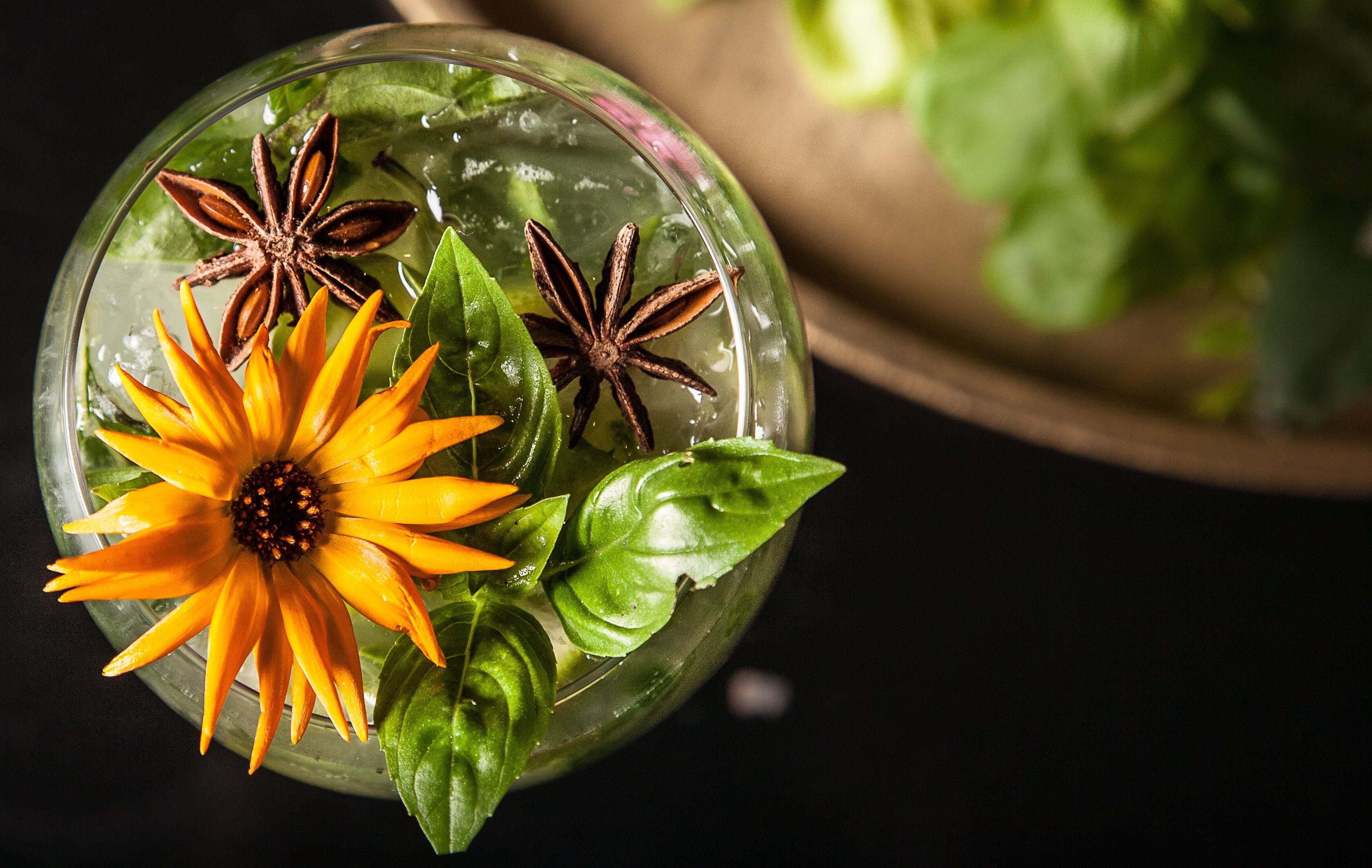 A glass bowl containing a flower, star anise, and green leaves.