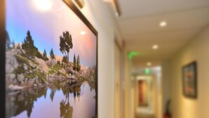 A hallway with a large framed picture of a lake and trees, a fire extinguisher on the wall, and a staircase in the background. - La Croix Blanche (Tarbes)