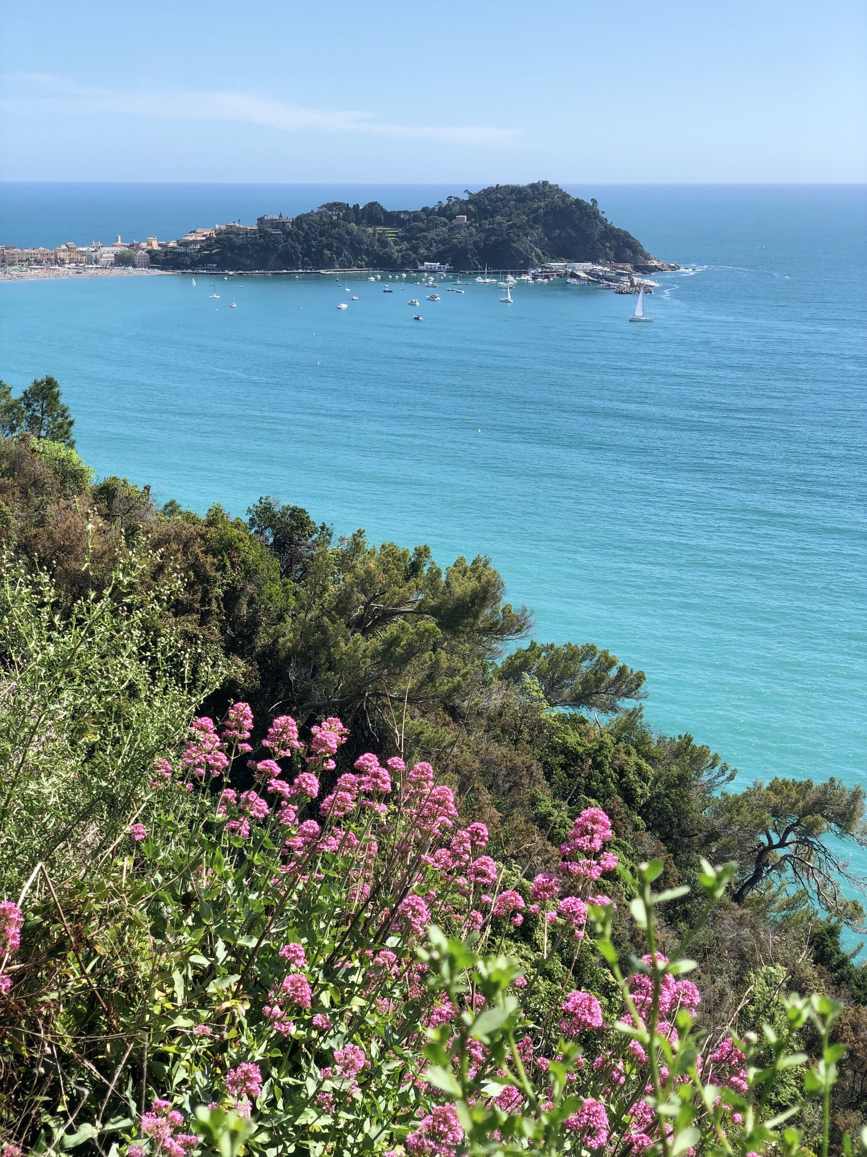 A coastal landscape with a view of the sea, a small island, and dense greenery in the foreground.