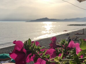 A beach with pink flowers in the foreground and a view of the sea with mountains in the background. - Doria Hotel (Lavagna)