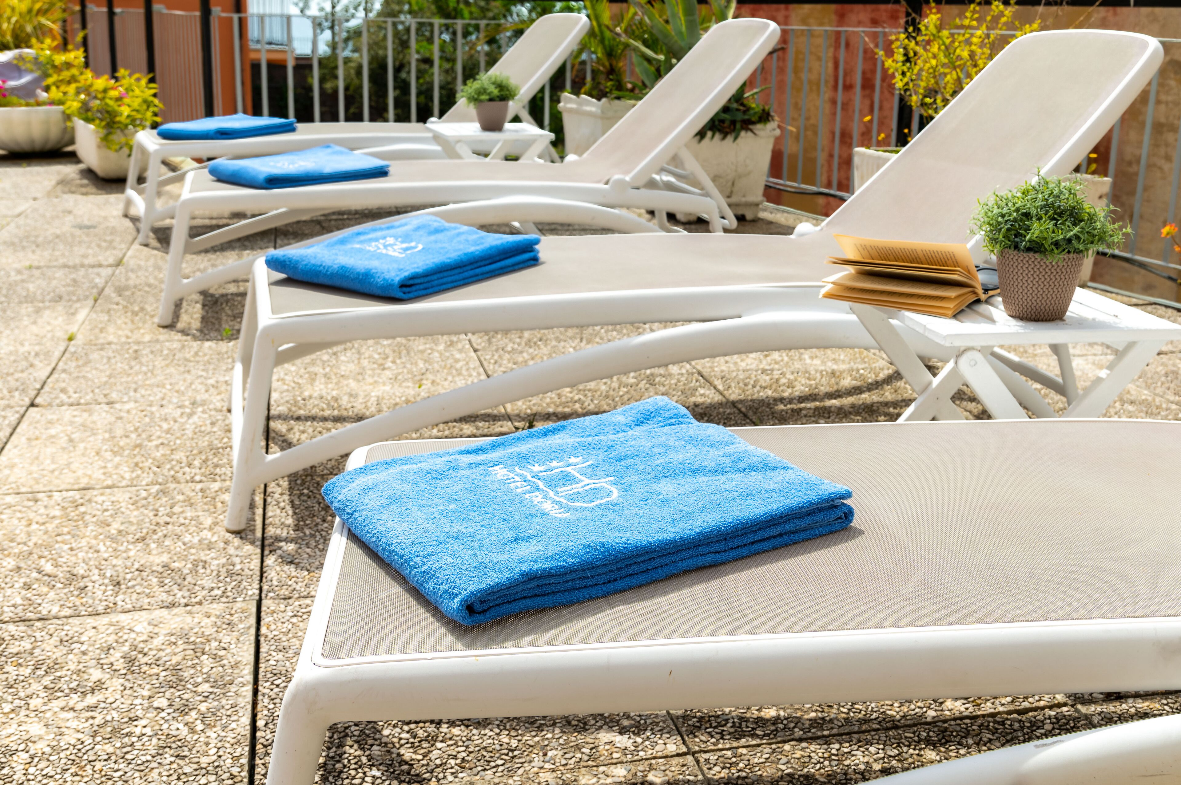 Une rangée de chaises longues blanches, avec des serviettes bleues, et une petite plante en pot posée sur l'une d'elles.