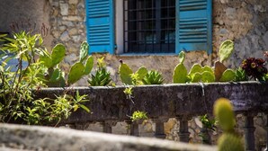 A stone balustrade with cacti and succulents, a stone wall, and a building with blue shutters and a window. - Hotel Les Armoiries (Valbonne)