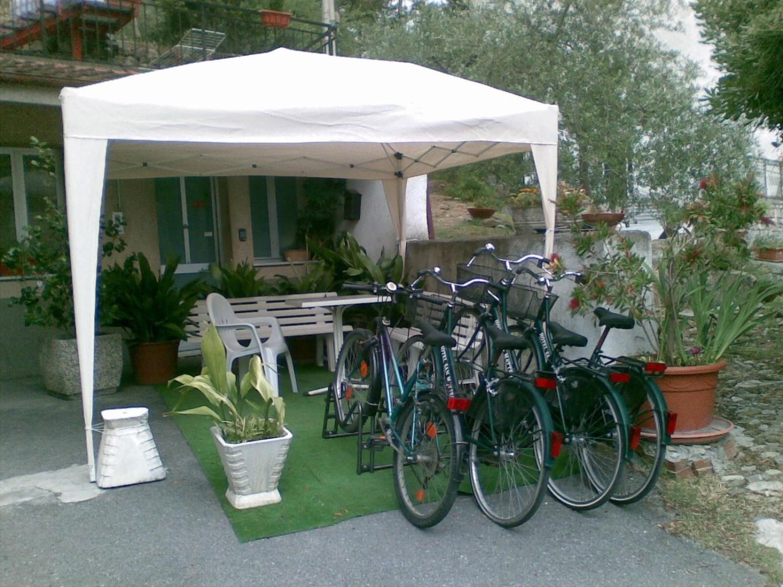 A white tent with bicycles parked under it, surrounded by potted plants and a bench.