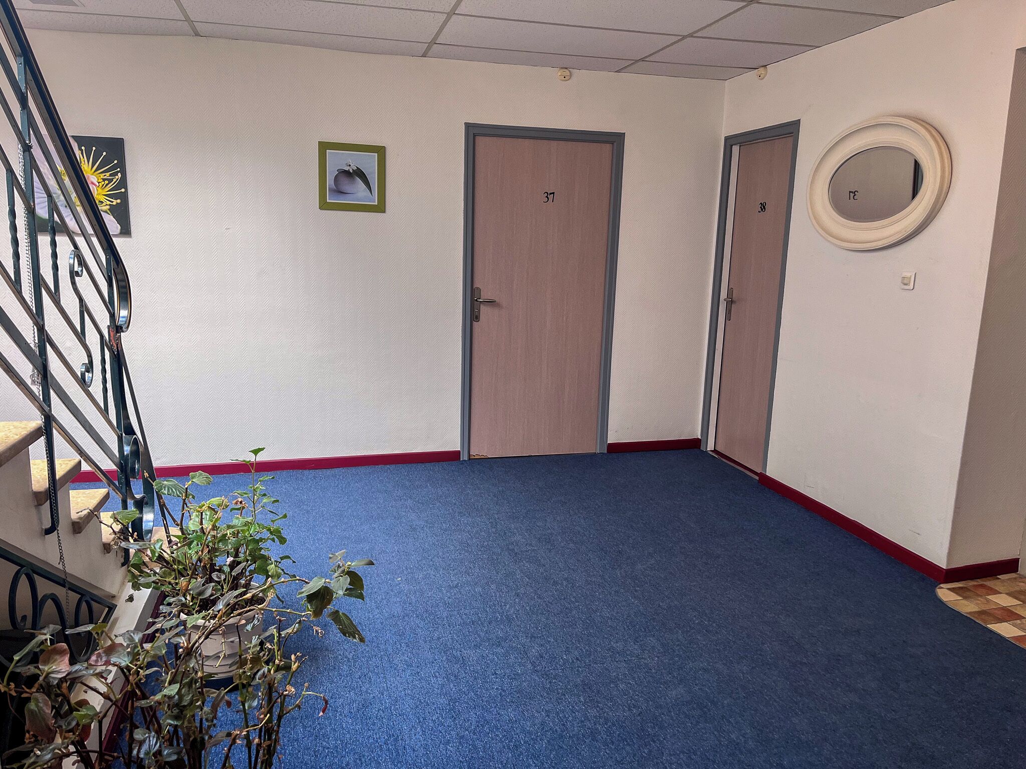 Un couloir avec un tapis bleu, deux portes en bois, un escalier avec des rampes en métal et une plante en pot.