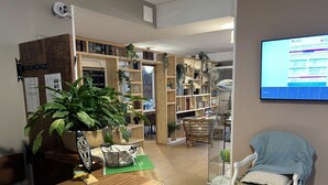 A reception area with a wooden desk, a large potted plant, a wicker chair, and a bookshelf filled with books and decorative items.