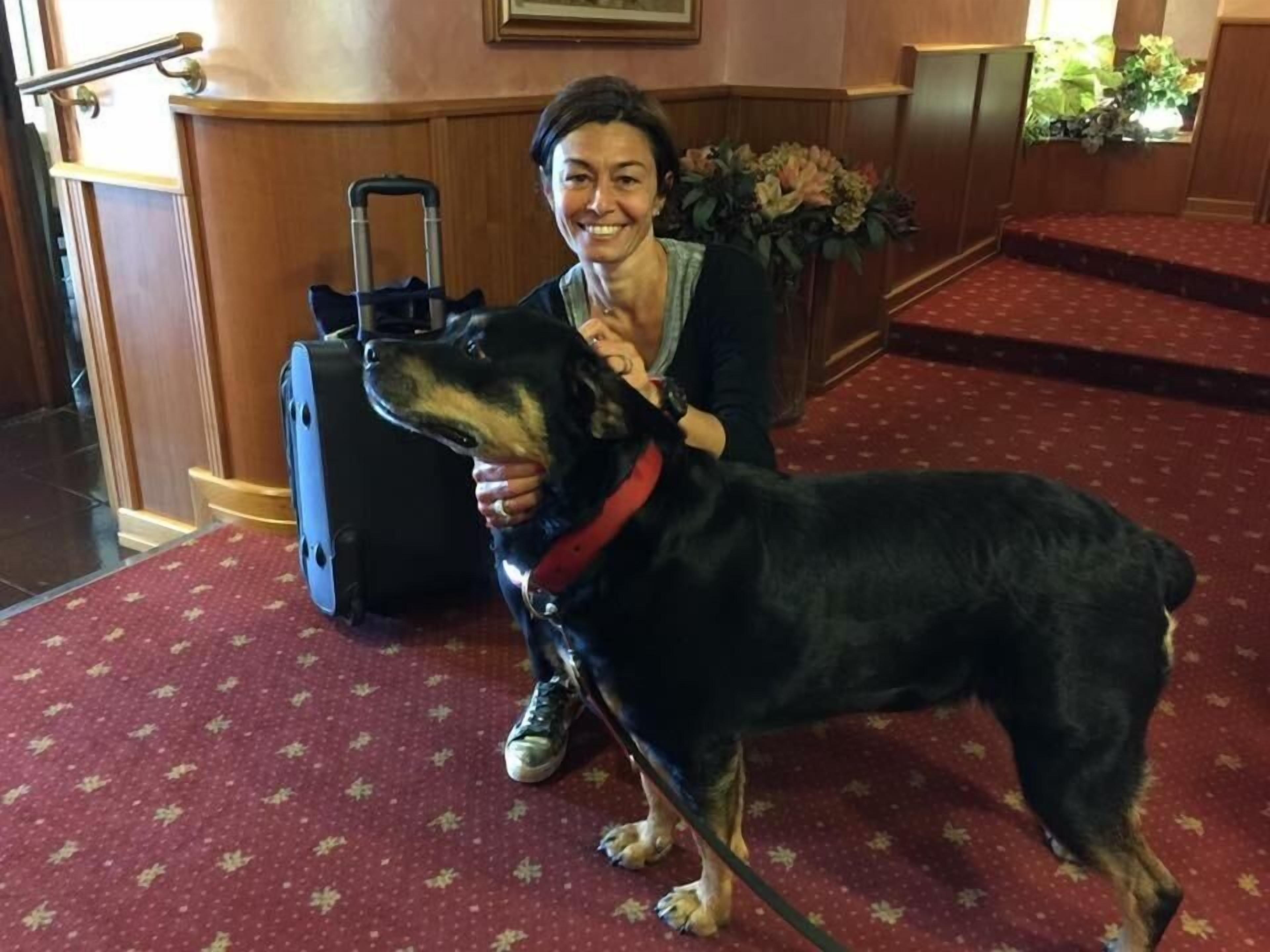 A person with a large dog in a lobby with a red carpet, a wooden reception desk, and a plant in the background.