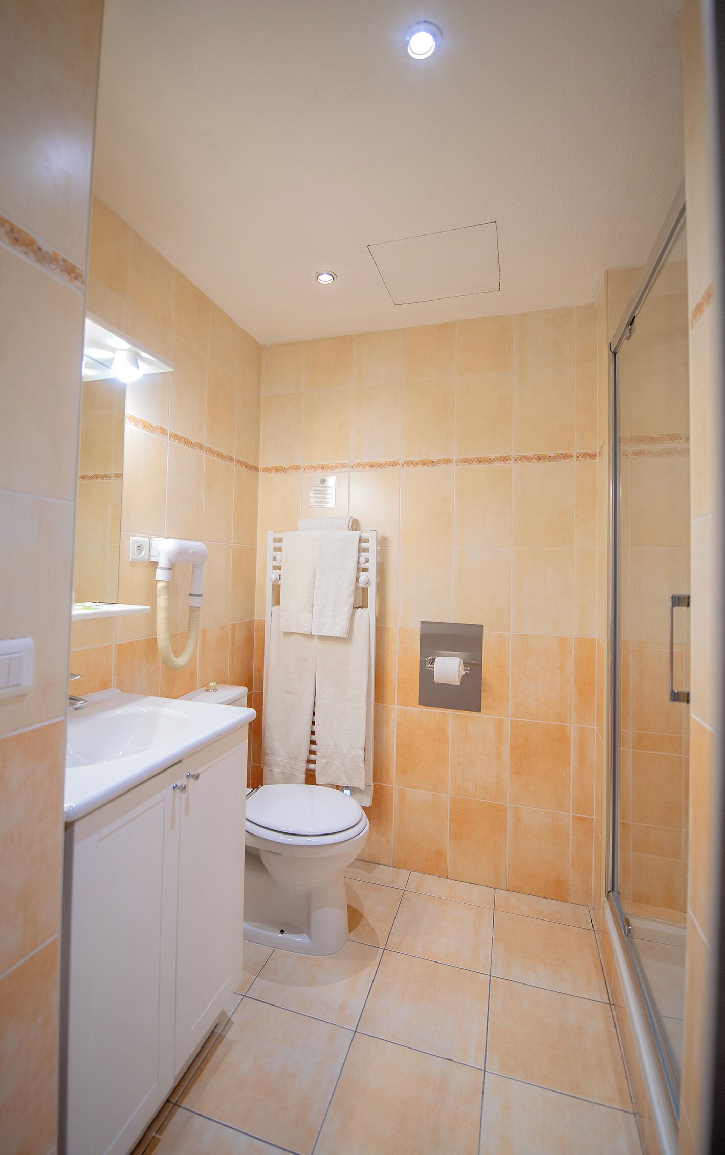 Une salle de bain comprenant des toilettes, un lavabo, un porte-serviettes et un espace douche.